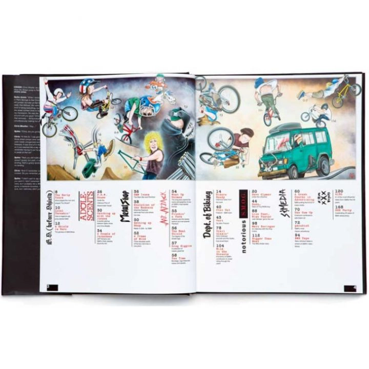 Livre S&M "Behind the shield"