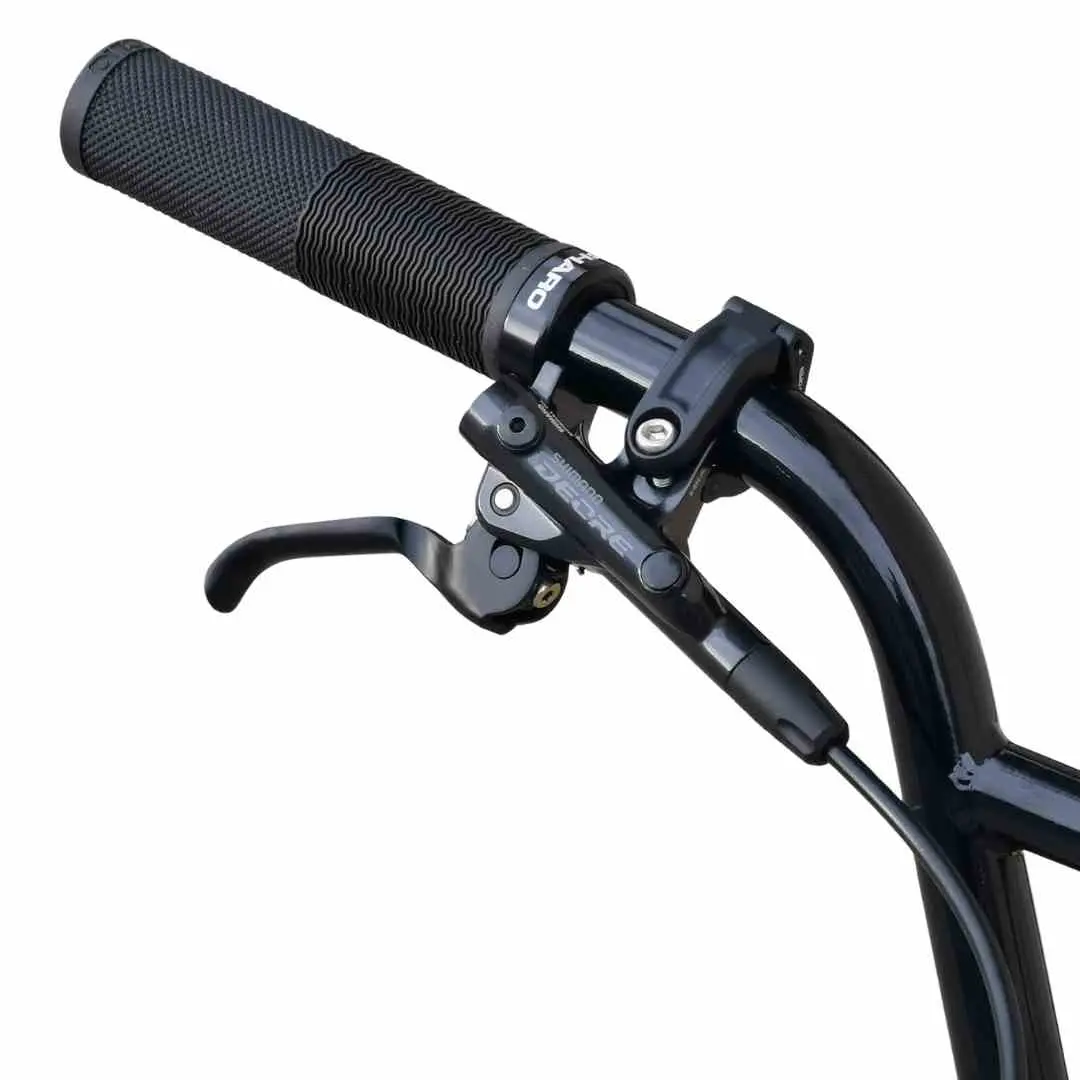 BMX RACE Custom HARO Citizen Carbon x PRIDE Disk Pro XL Matte Black Orange Fade – Image 10