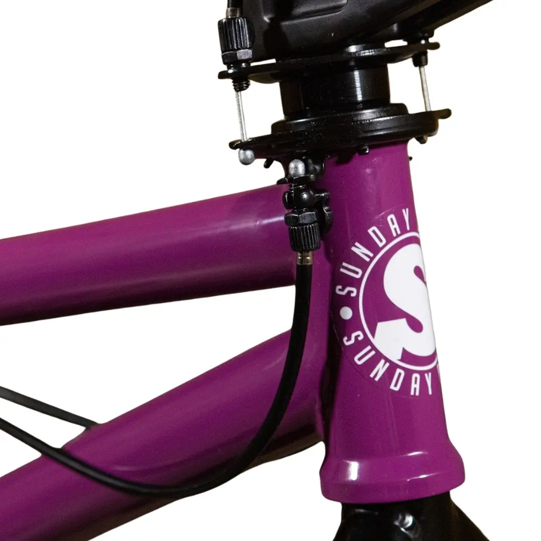 BMX SUNDAY 2027 Primer Park 20.5" Gloss Berry – Image 4