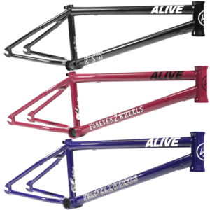 Cadre ALIVE Industry F.T.W.