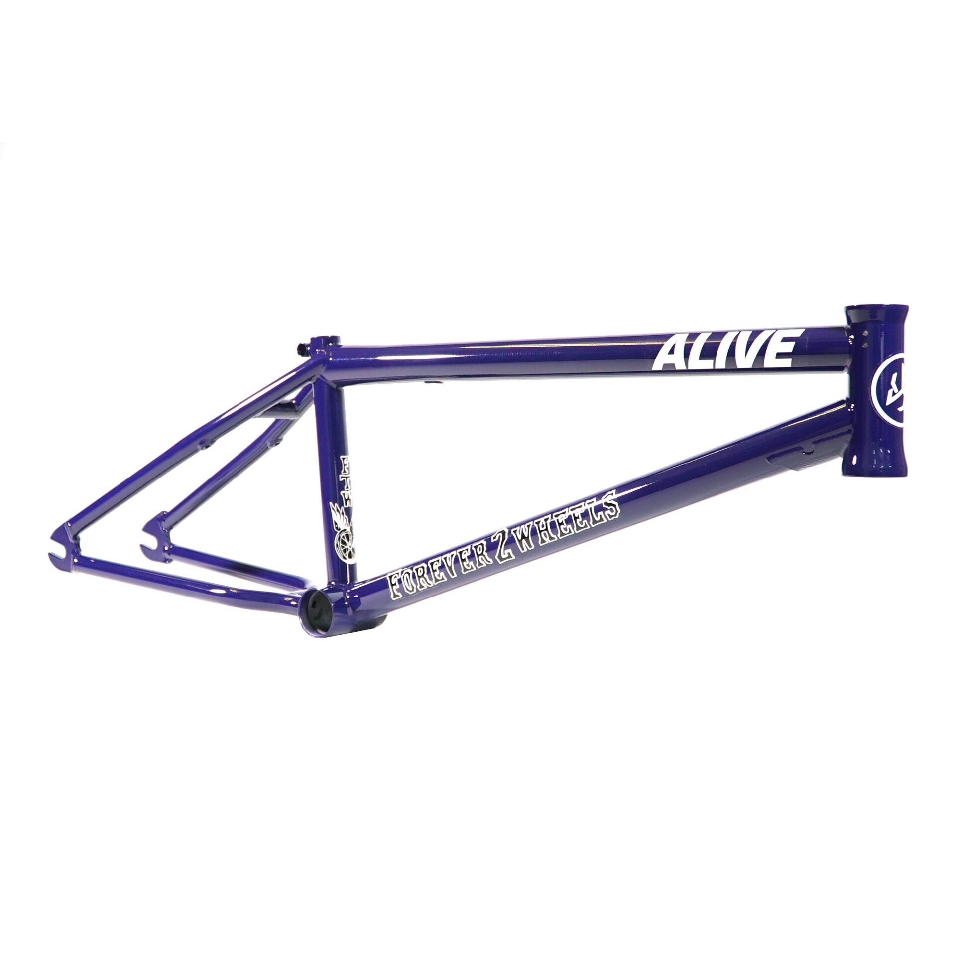 Cadre ALIVE Industry F.T.W. – Image 4