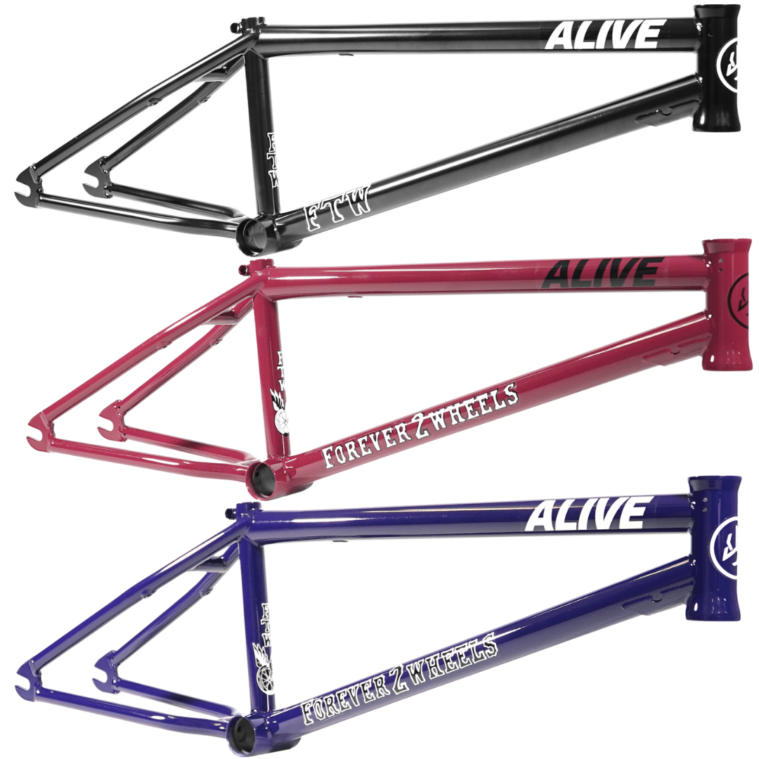 Cadre ALIVE Industry F.T.W.