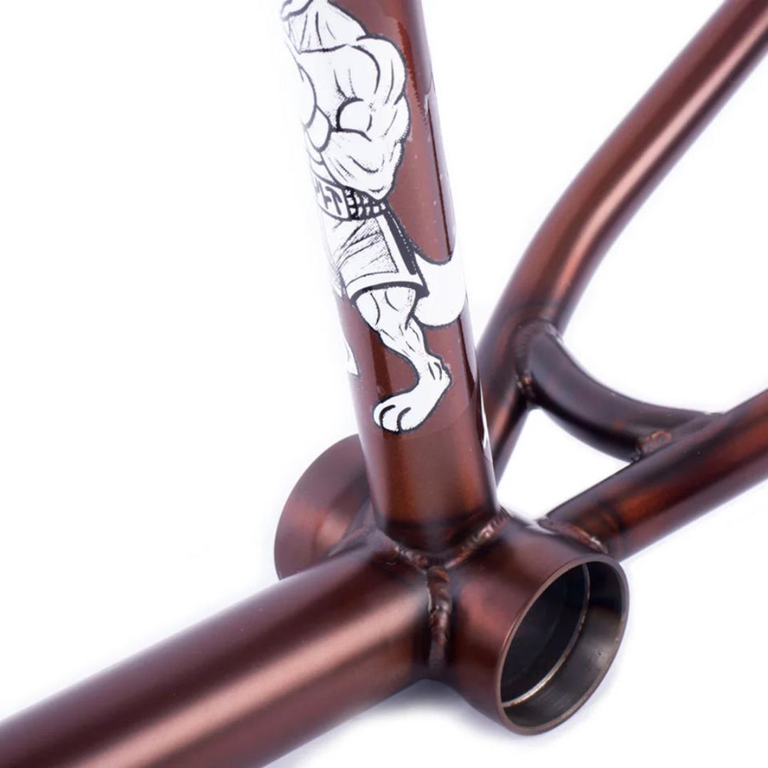 Cadre CULT DAK IC4 Par Freyne Matt Trans Brown – Image 6
