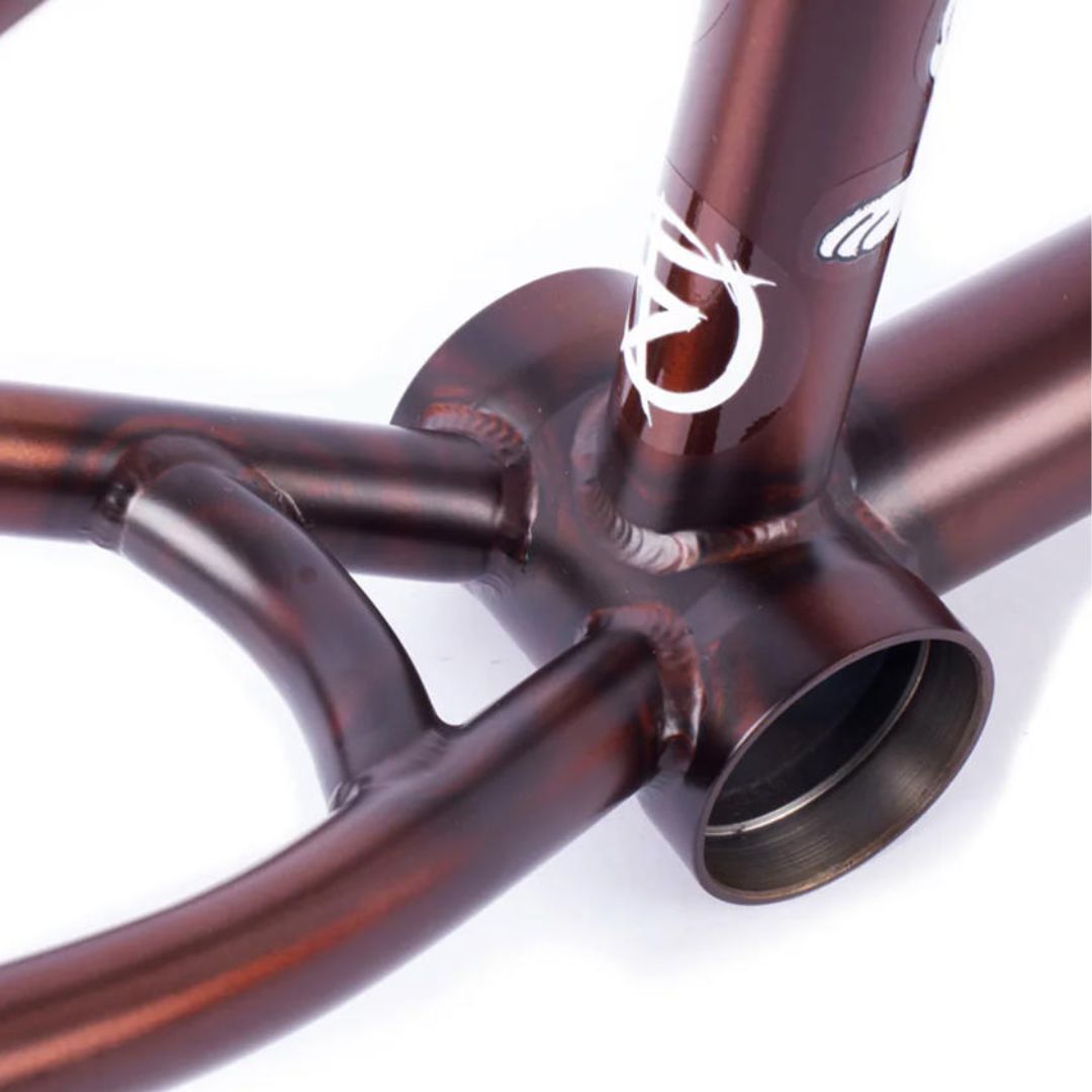 Cadre CULT DAK IC4 Par Freyne Matt Trans Brown – Image 7