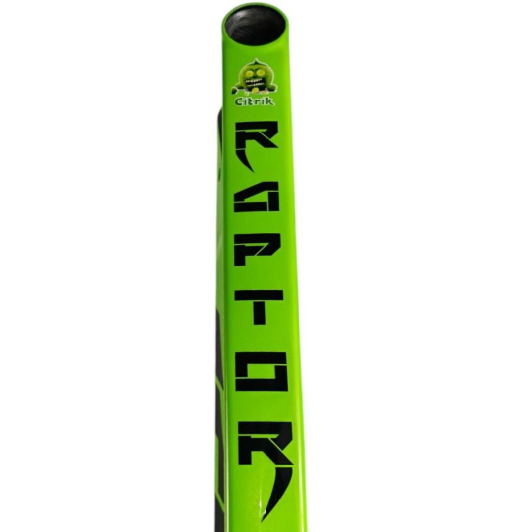 Cadre ICE Raptor IRC Gloss Citrik RS Lime / Noir Pro – Image 3