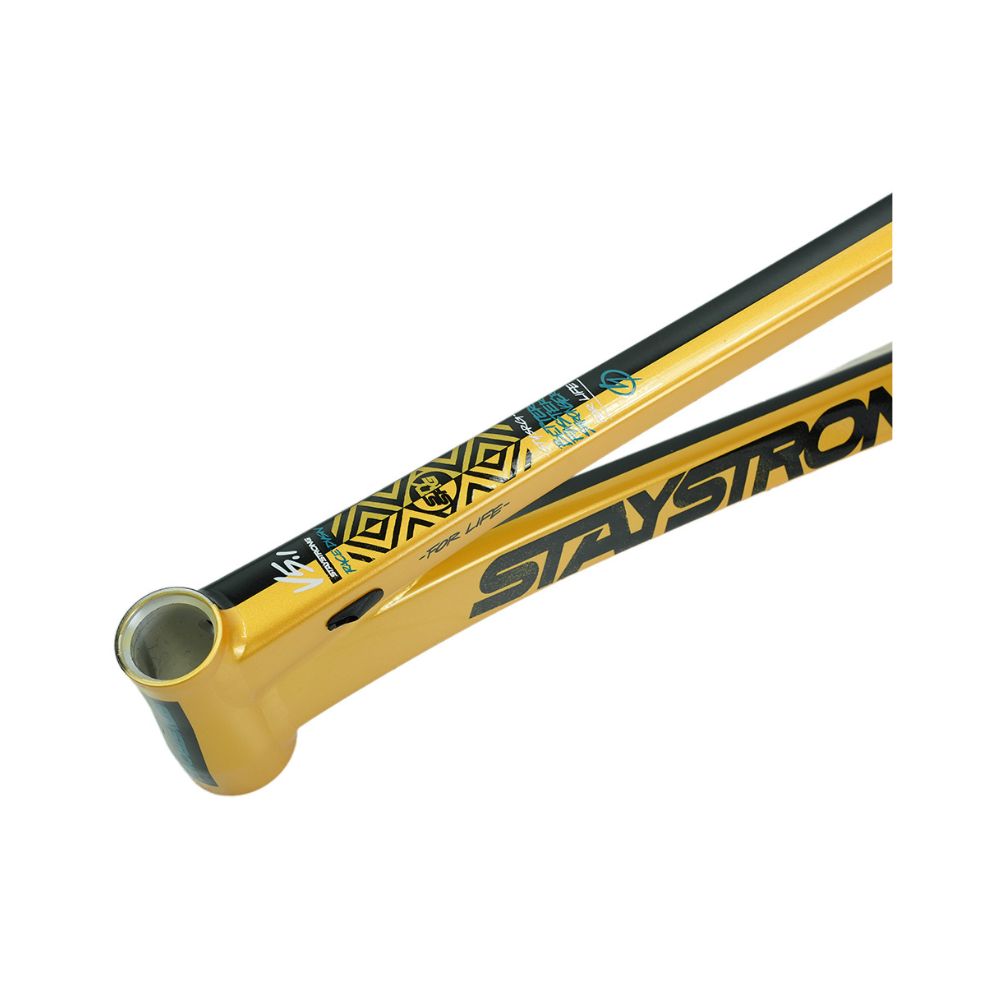 Cadre STAY STRONG For Life V5.1 Black / Gold – Image 9