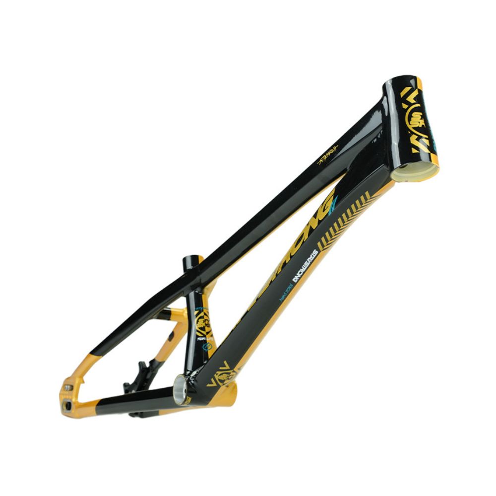 Cadre STAY STRONG For Life V5.1 Black / Gold – Image 6