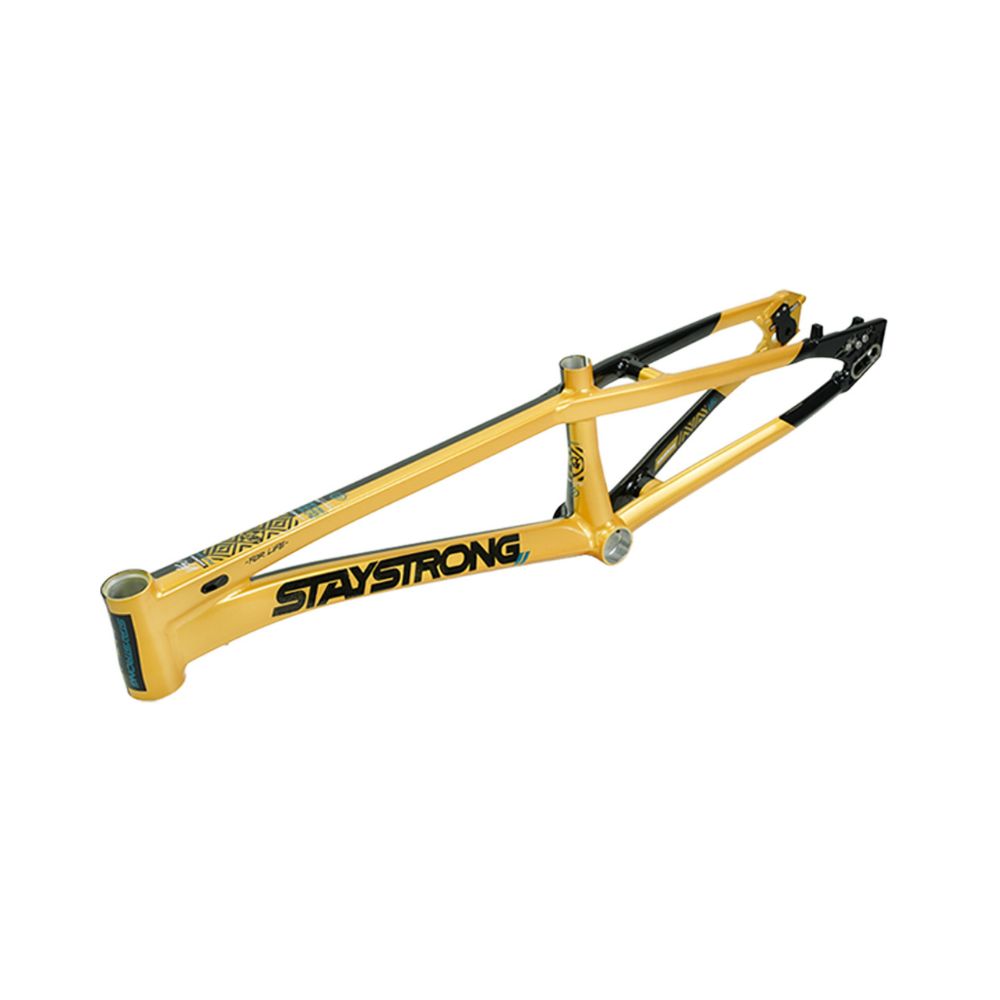Cadre STAY STRONG For Life V5.1 Black / Gold – Image 5
