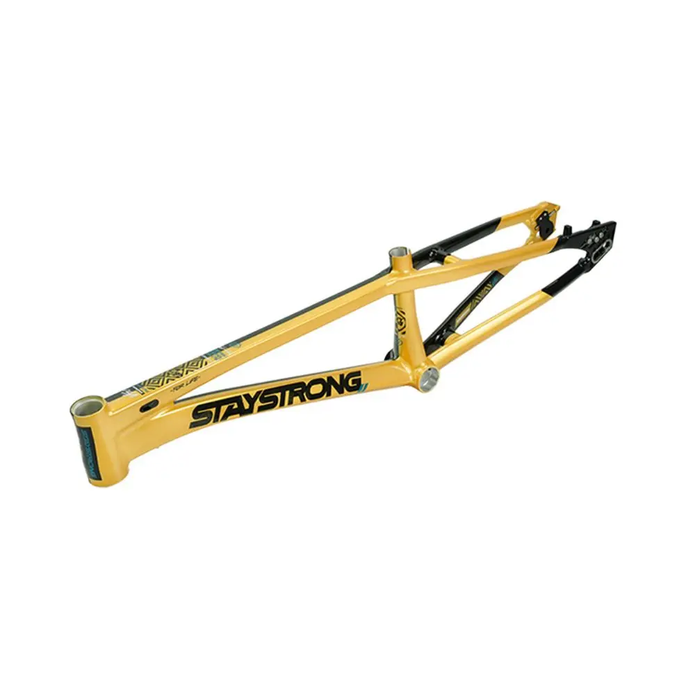 Cadre STAY STRONG For Life V5.1 Black / Gold – Image 5