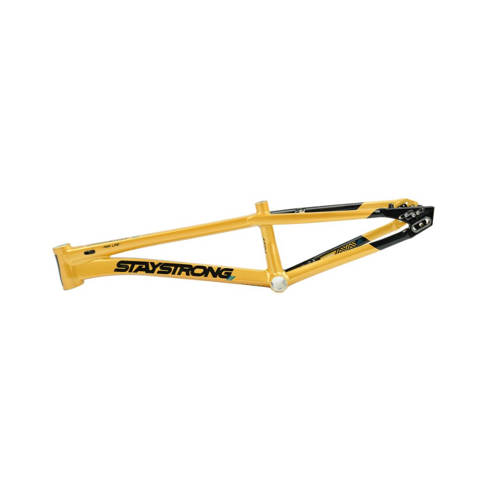 Cadre STAY STRONG For Life V5.1 Black / Gold – Image 4