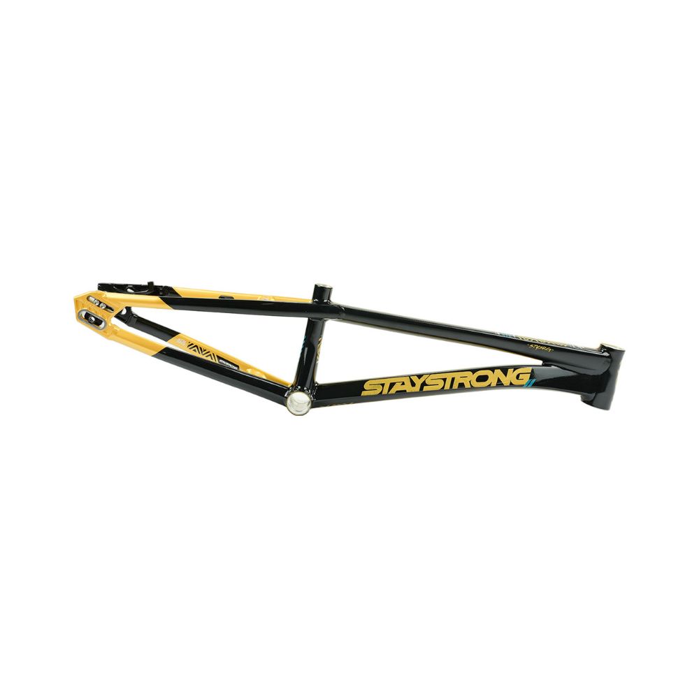 Cadre STAY STRONG For Life V5.1 Black / Gold – Image 3