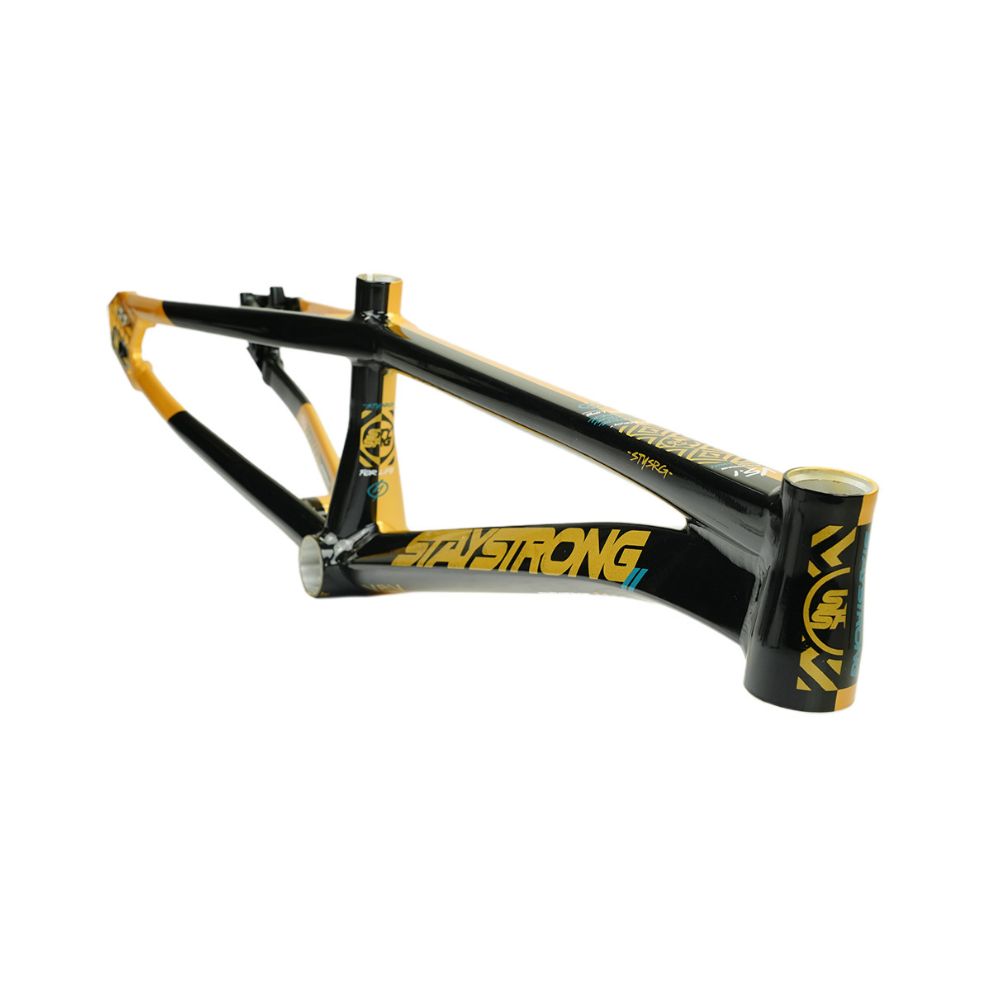 Cadre STAY STRONG For Life V5.1 Black / Gold – Image 2