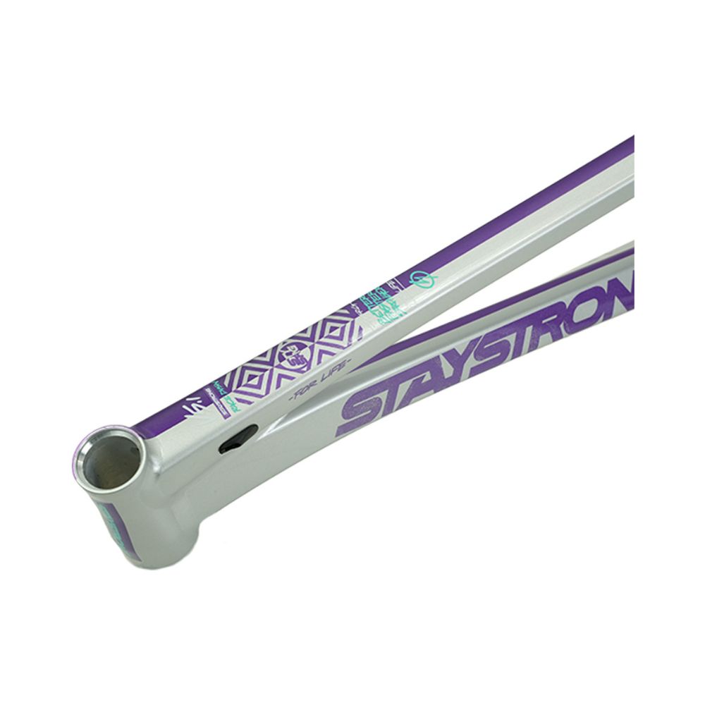 Cadre STAY STRONG For Life V5.1 Purple / Silver – Image 9