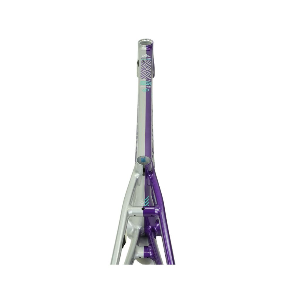 Cadre STAY STRONG For Life V5.1 Purple / Silver – Image 7