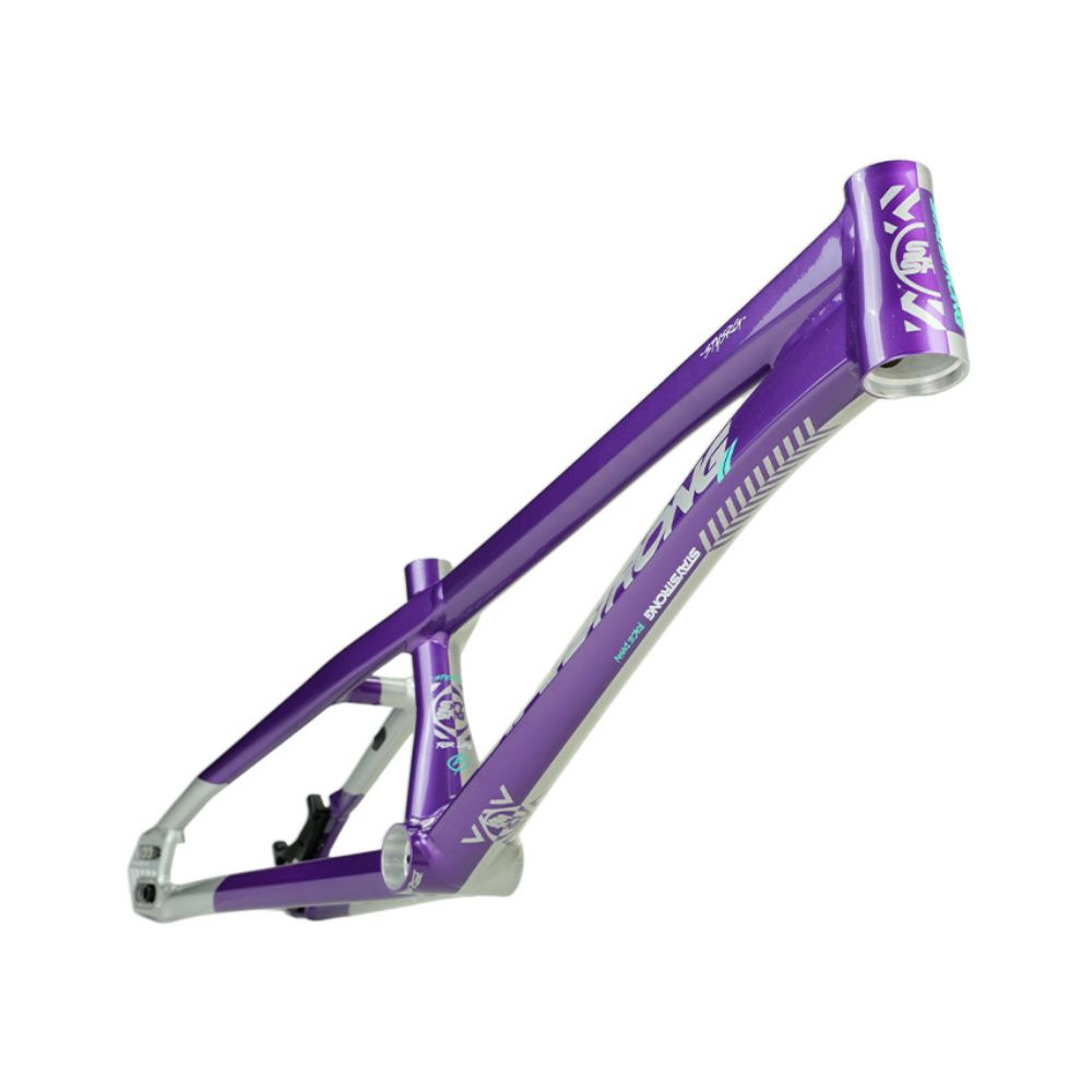 Cadre STAY STRONG For Life V5.1 Purple / Silver – Image 6