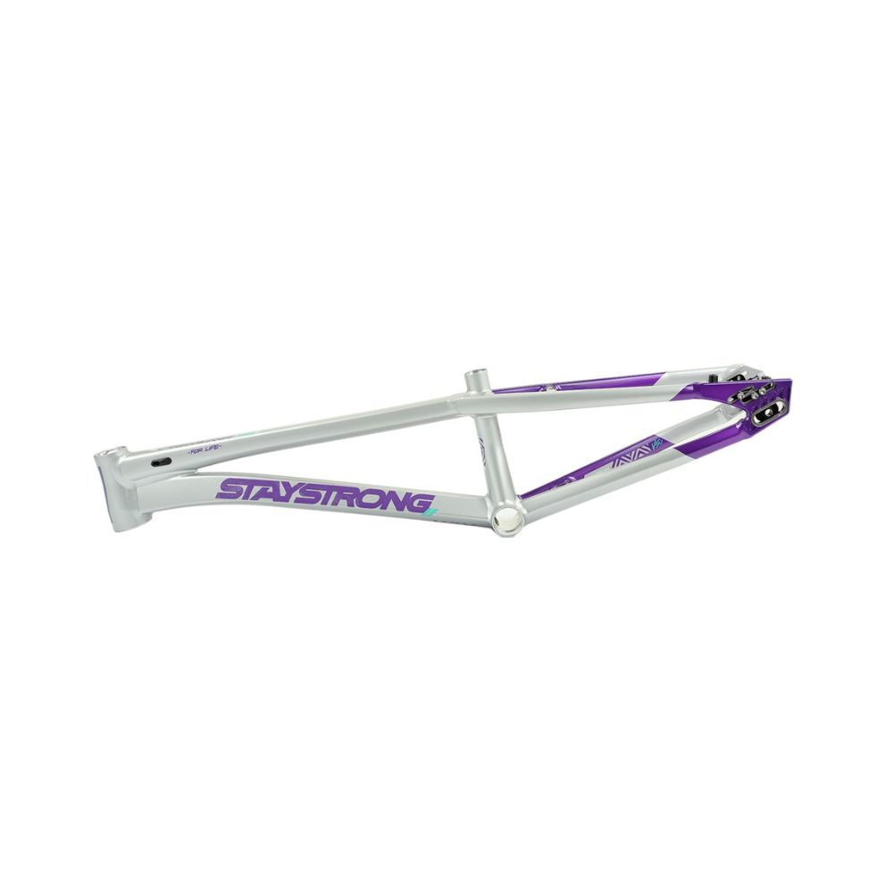Cadre STAY STRONG For Life V5.1 Purple / Silver – Image 4