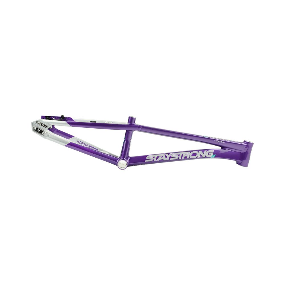 Cadre STAY STRONG For Life V5.1 Purple / Silver – Image 3