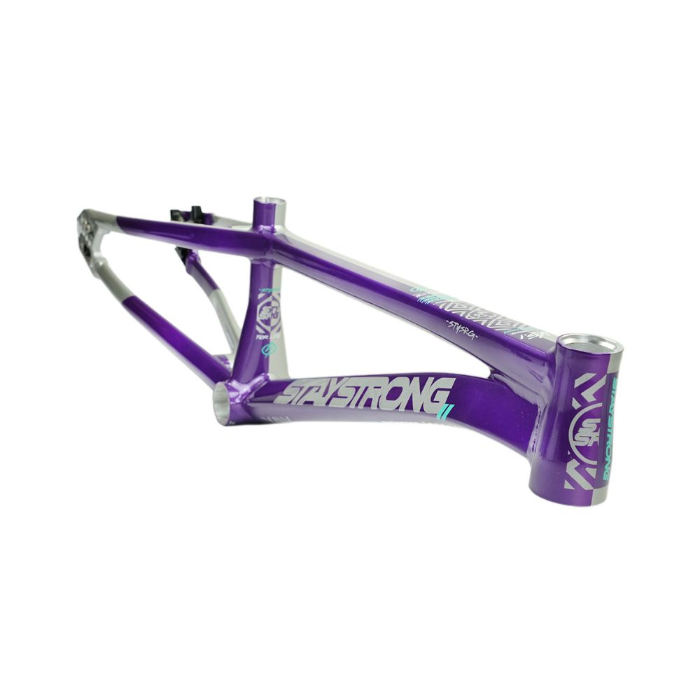 Cadre STAY STRONG For Life V5.1 Purple / Silver – Image 2