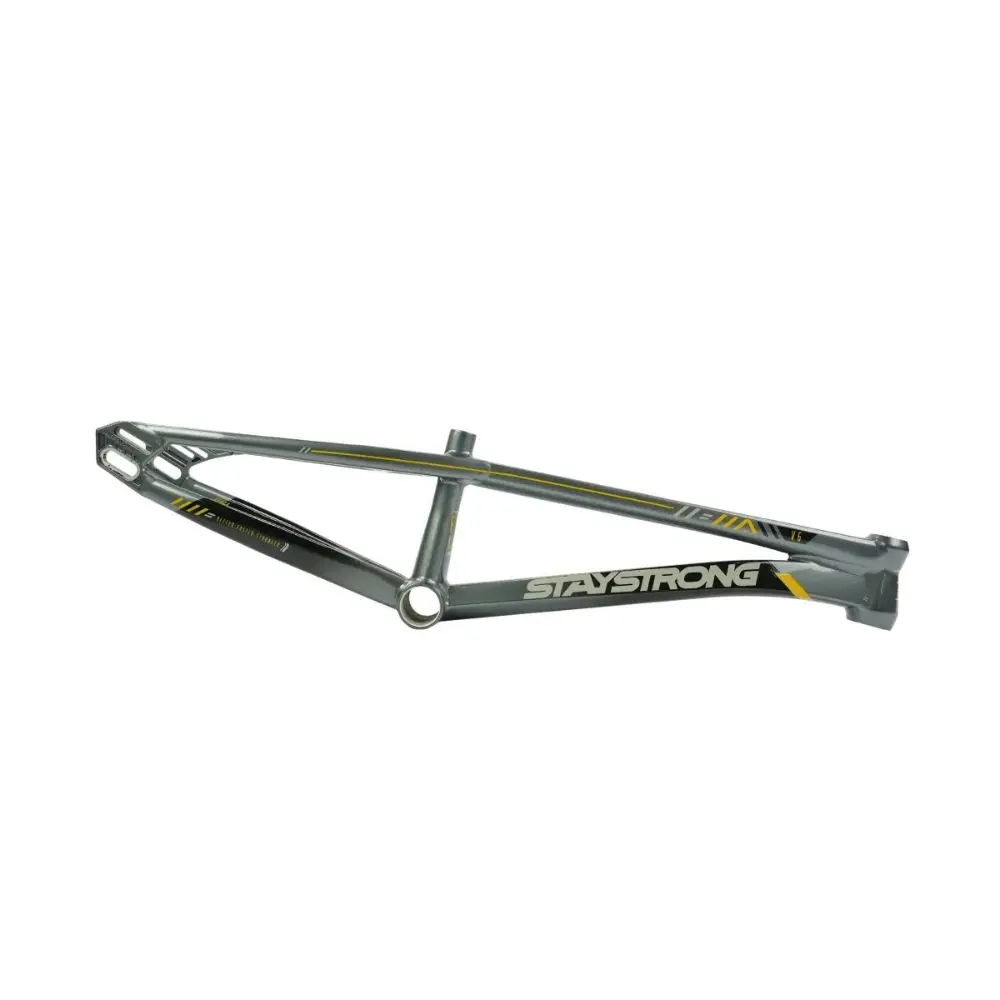 Cadre STAY STRONG For Life V6 Grey / Gold (Précommande Livraison Fin Janvier 2027)
