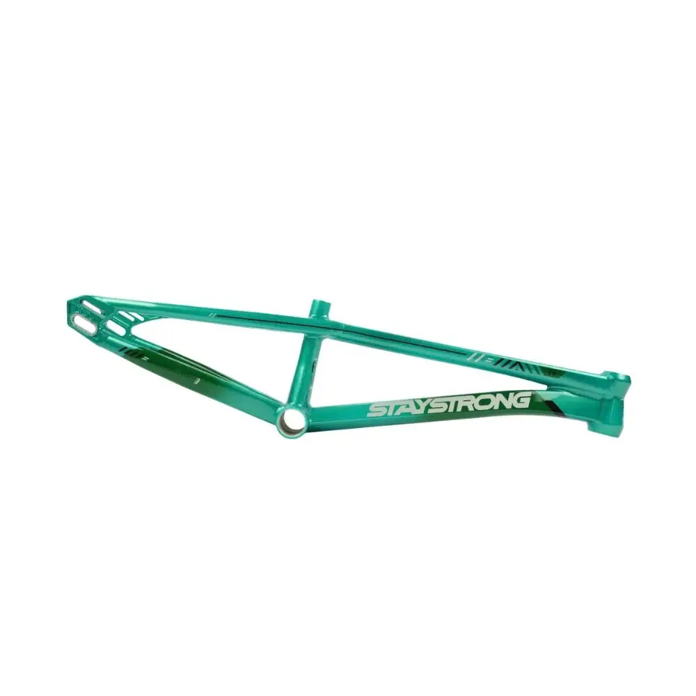 Cadre STAY STRONG For Life V6 Mint / Black (Précommande Livraison Fin Janvier 2027)