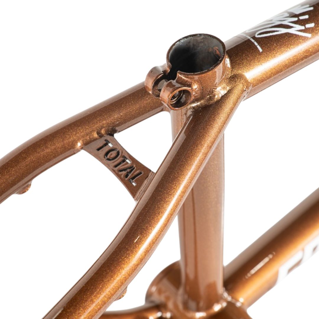 Cadre TOTAL BMX Concorde Anthony Jeanjean Olympique Bronze – Image 2