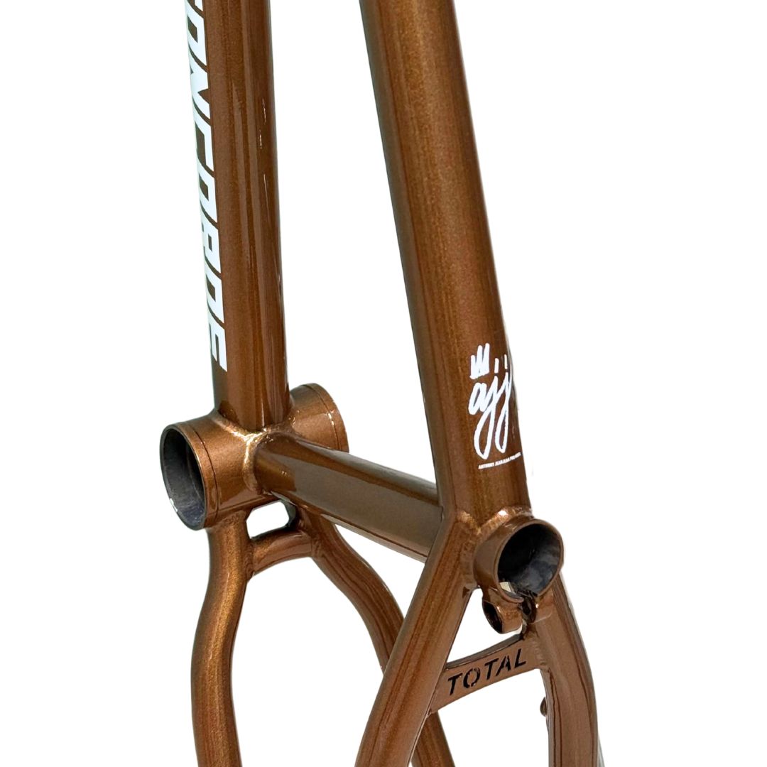 Cadre TOTAL BMX Concorde Anthony Jeanjean Olympique Bronze – Image 4