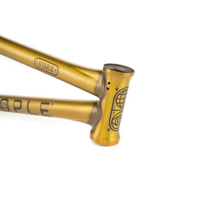 Cadre WETHEPEOPLE Utopia Hybrid Matt Translucent Gold – Image 3