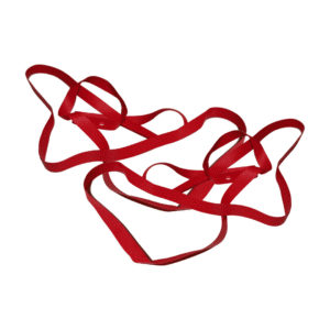 Fonds de jante ALIENATION TCS 2.0 Red 20" (la paire)
