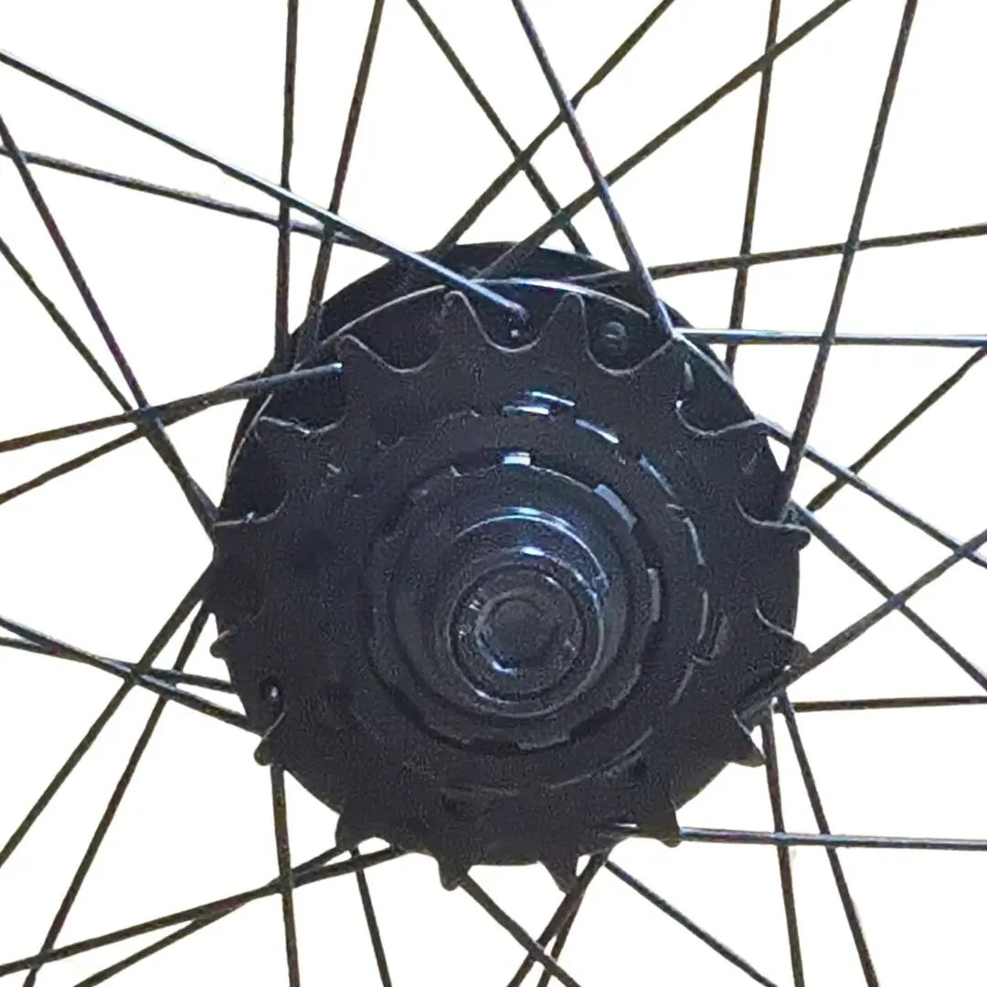 Paire de roues Custom ALIENATION Evader Pro Disk 20" x Mischief x LTR Slp Double Butted – Image 3
