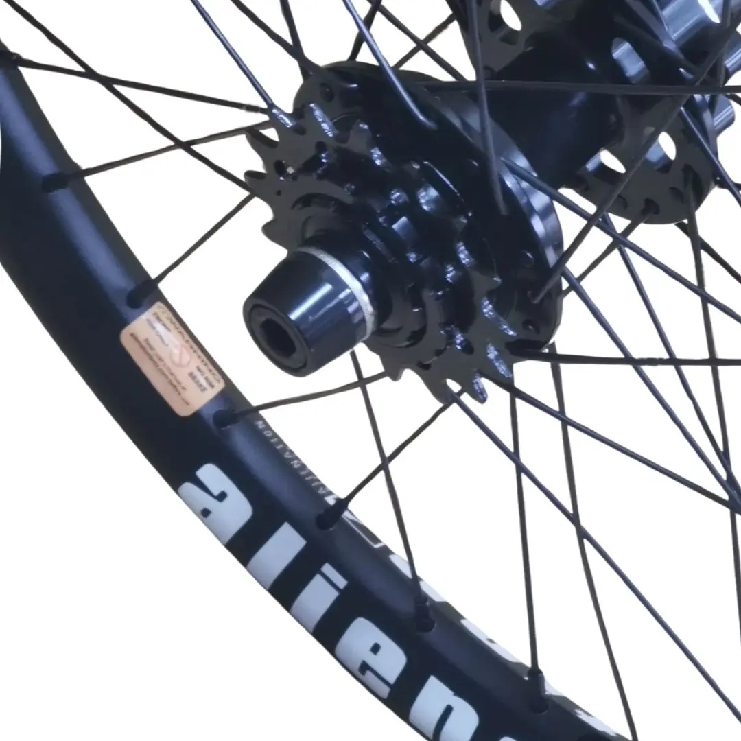 Paire de roues Custom ALIENATION Evader Pro Disk 20" x Mischief x LTR Slp Double Butted – Image 4