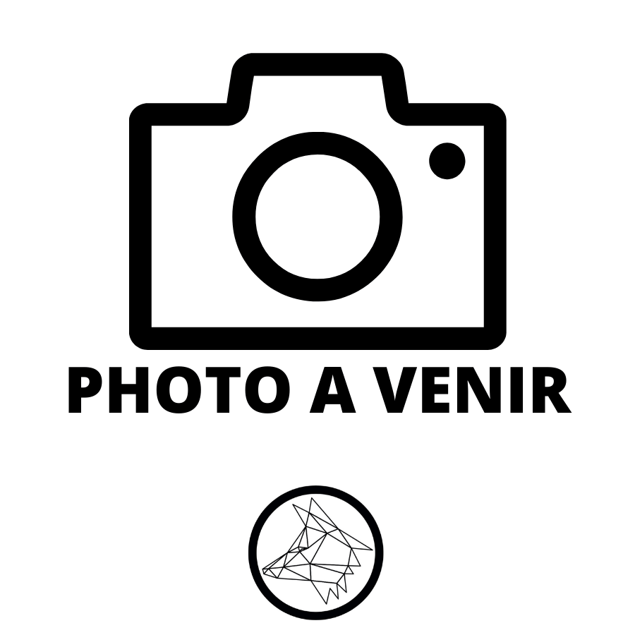 Fourche FAR EAST CYCLES Street Park R 25 Titanium 25 With Brake