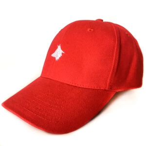 CASQUETTES