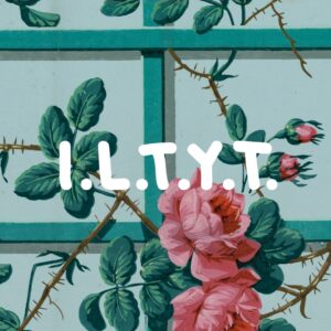 iltyt dvd cult