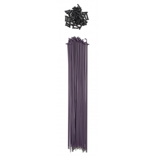 rayons-tsc-straight-spokes (1)