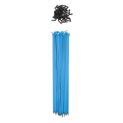 rayons-tsc-straight-spokes (2)