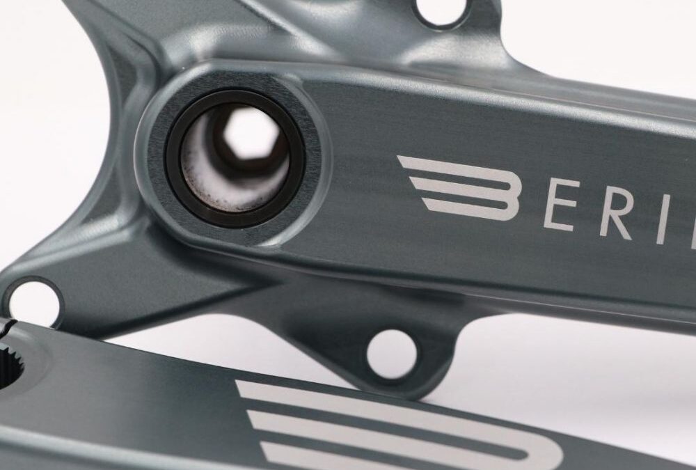 RAYONS BMX TITANE RAW (X36) - Bros Bike Store